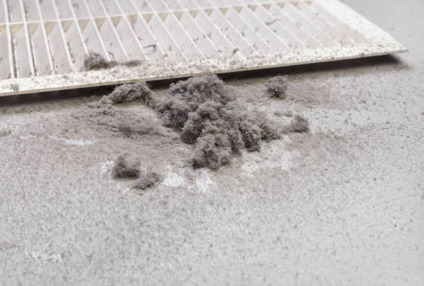 Best Dryer Vent Cleaning Services  in Manning, IA