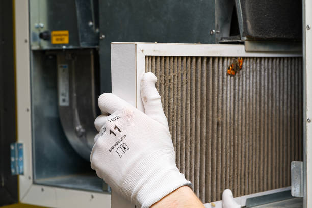Best HVAC Air Duct Cleaning  in Manning, IA