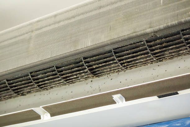 Best Ventilation Cleaning Services  in Manning, IA